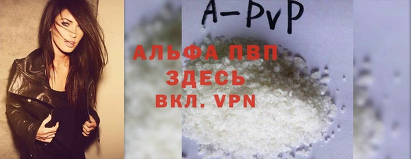 индика Лысково