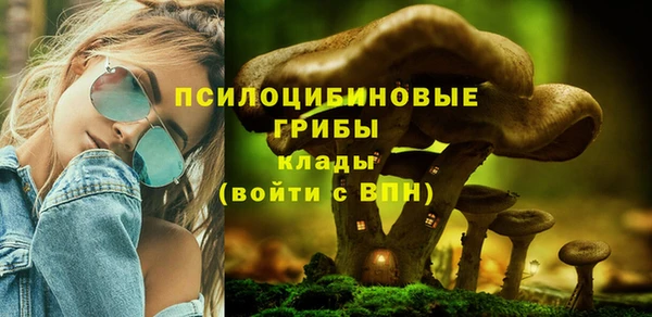 соль курить ск Елизово