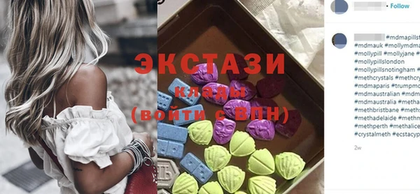 стаф Дмитров