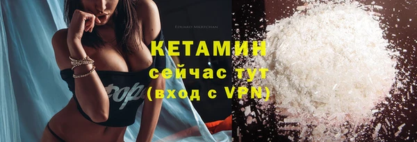 стаф Дмитров