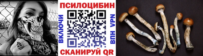 Псилоцибиновые грибы Magic Shrooms  Перевоз 