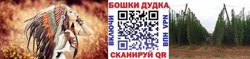 купить закладку Перевоз Бошки Шишки ГИДРОПОН